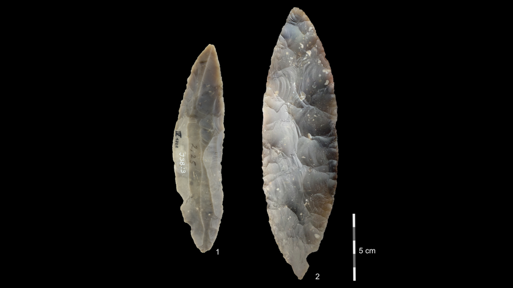 Neanderthals and modern humans intermingled in Europe 45,000 years ago